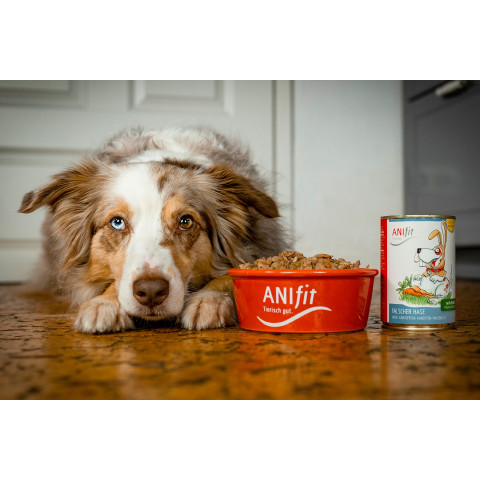 Hund Hundefutter Nassfutter Falscher Hase 200g 6 Stück -3- Anifit