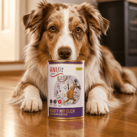 Hund Hundefutter Nassfutter Party mit Elch 400g 6 Stück -2- Anifit