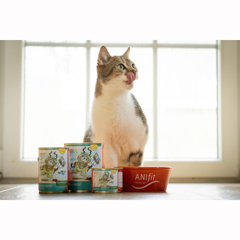 Katze Nassfutter Nautilus Ragout 200g 6 Stück -3- Anifit